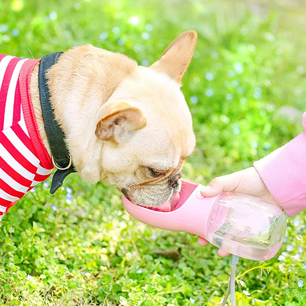 Portable Dog Water Bottle