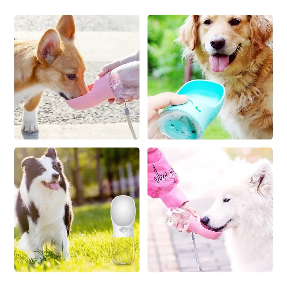 Portable Dog Water Bottle