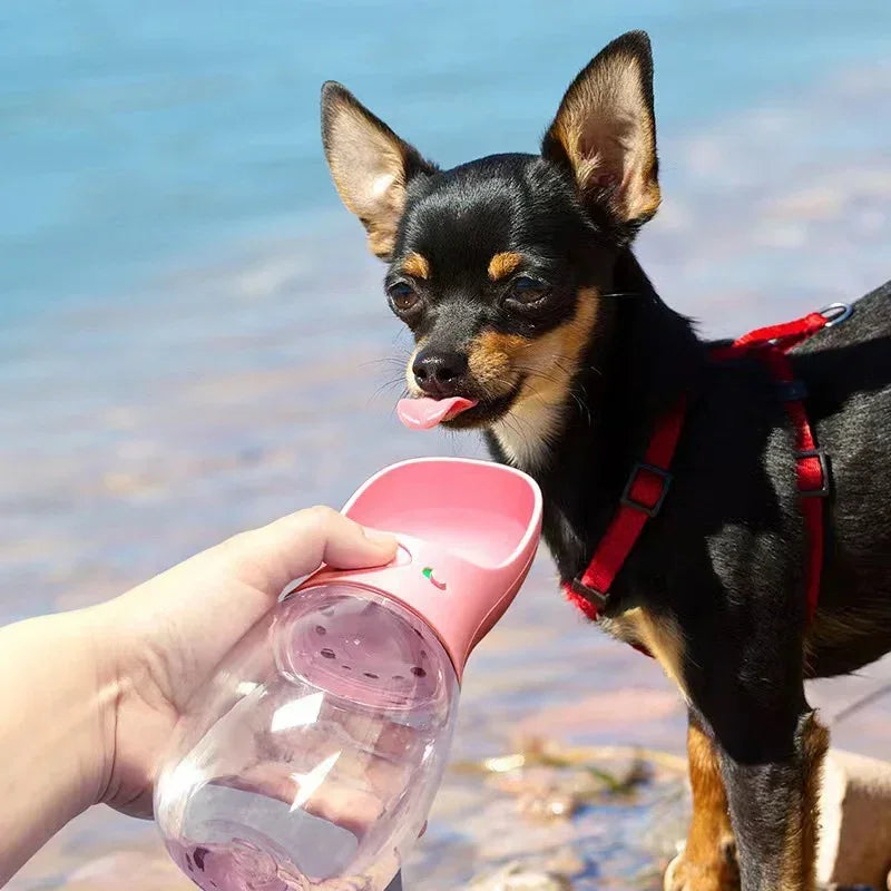 Portable Dog Water Bottle